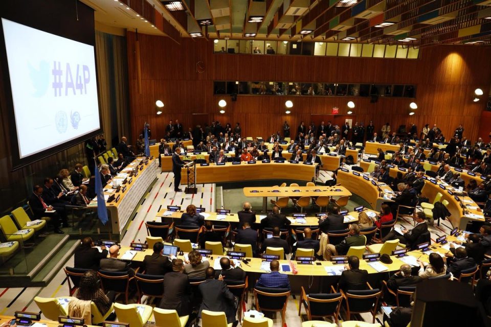 Уставното име може да се одбрани единствено во Генералното Собрание на ОН
