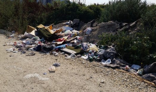 Голема акција: Jавната администрација ќе чисти акција ѓубре