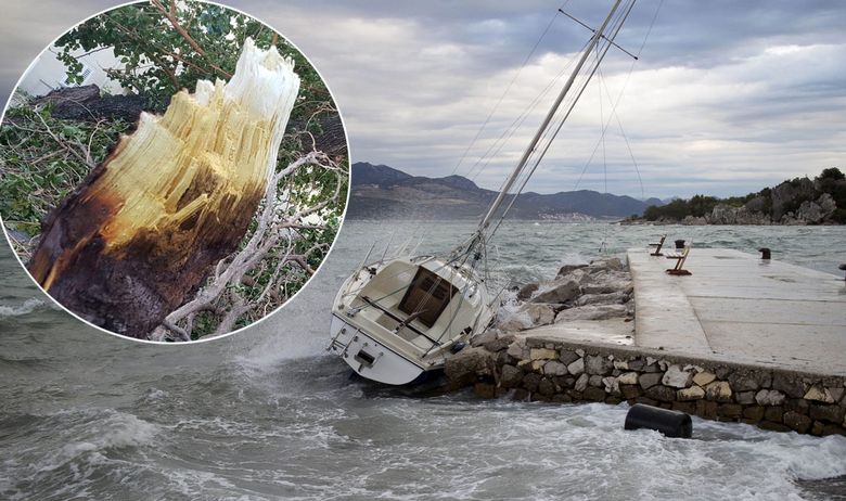 Низ Хрватска протатни бура на деценијата, во Дубровник ветрот корнел дрвја