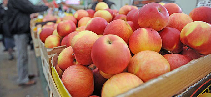Со манифестацијата “Преспански јаболкобер“ стартува бербата на јаболката