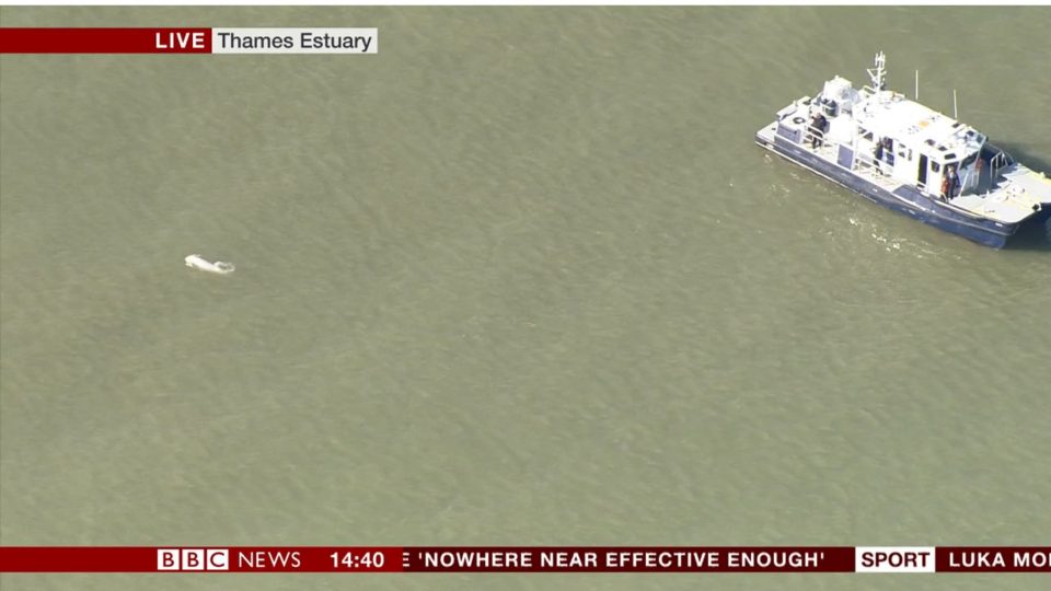Бел кит се појави во близина на Лондон