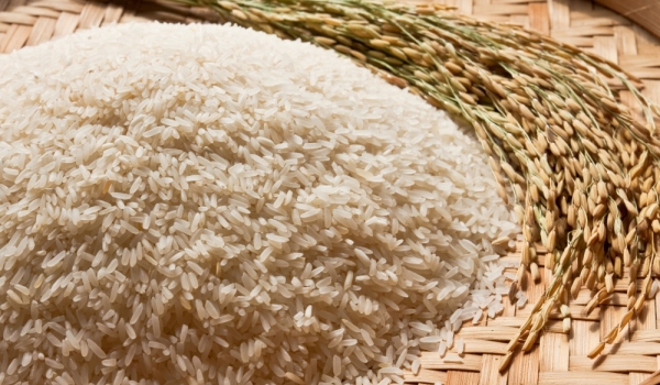 Наместо македонски ориз власта дозволува увоз од Индија и Пакистан