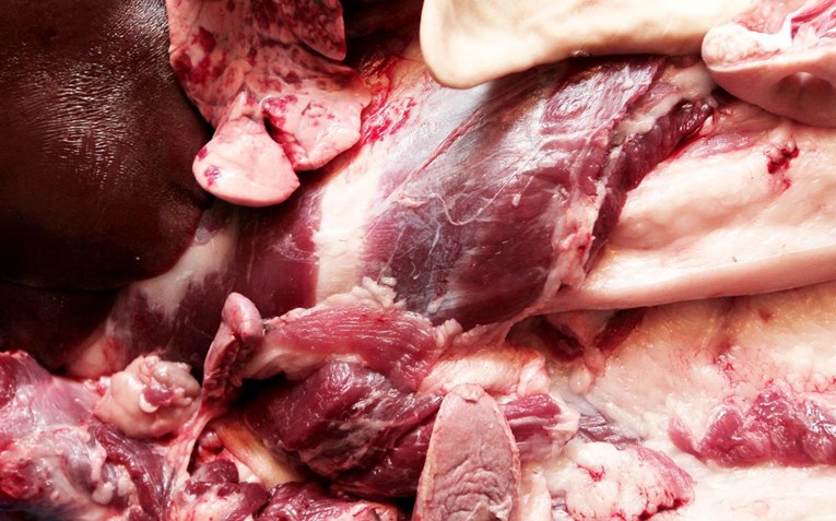 Во Србија уапсени луѓе заради продажба на 31 тон расипано месо од Бразил