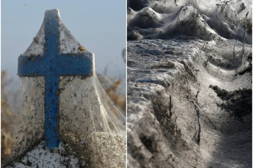 Редок феномен: Езеро во Грција исчезна под пајажина