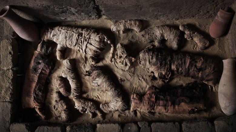 Во фараонска гробница пронајдени мумии што не се човечки (ФОТО)