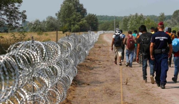 Унгарија трупа војска на границата со Србија