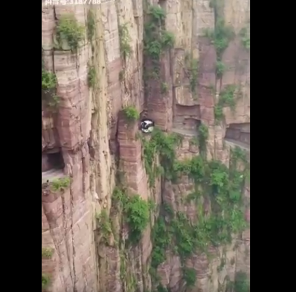 Вака изгледа планински пат во Кина (ВИДЕО)