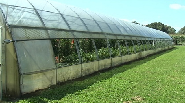 Сопствениците, ќе имаат можност да го купат  државно земјоделско земјиште под оранжерии