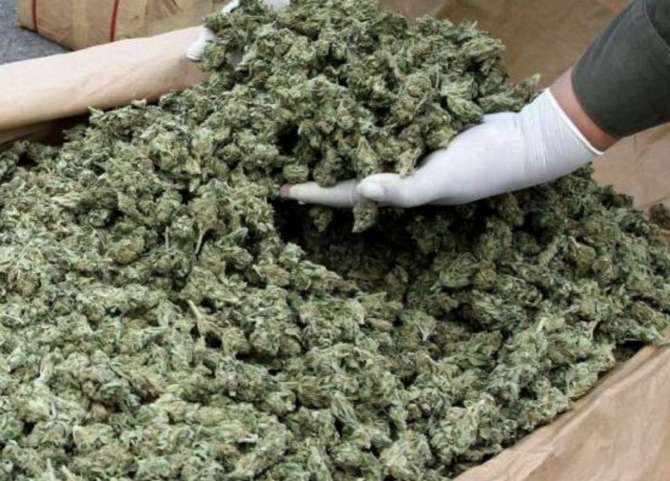 Албанската полиција заплени еден тон марихуана