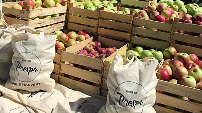 Овоштарите од Преспа денеска на протест поради откупните цени на јаболкото