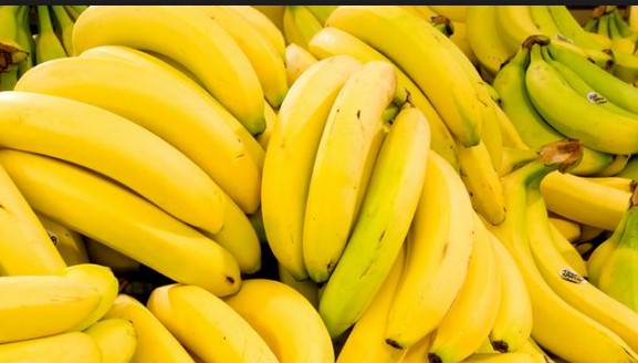 Во контејнер со банани пронајдени 615 килограми кокаин