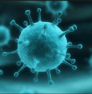 Внимавајте: Се појави нов вирус на свински грип