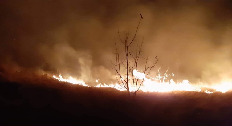 Пожарот кај Љуботенски бачила ќе се гасне со авиони, се шири кај Лакавица, а под контрола ставен тој во Преспа