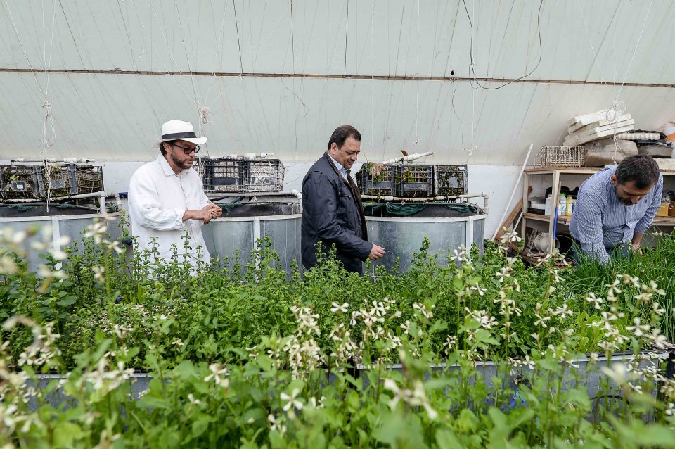 Анѓушев и Деспотовски ја посетија „Аквапоника“- микрокомпанија што применува иновации во земјоделството 