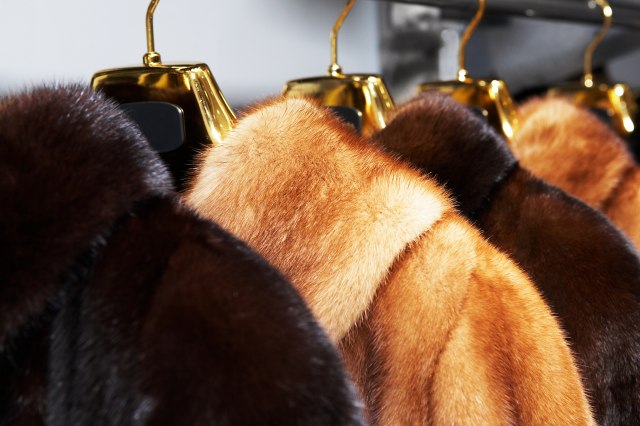 Уште еден град во САД воведува забрана за производство и продажба на крзно?