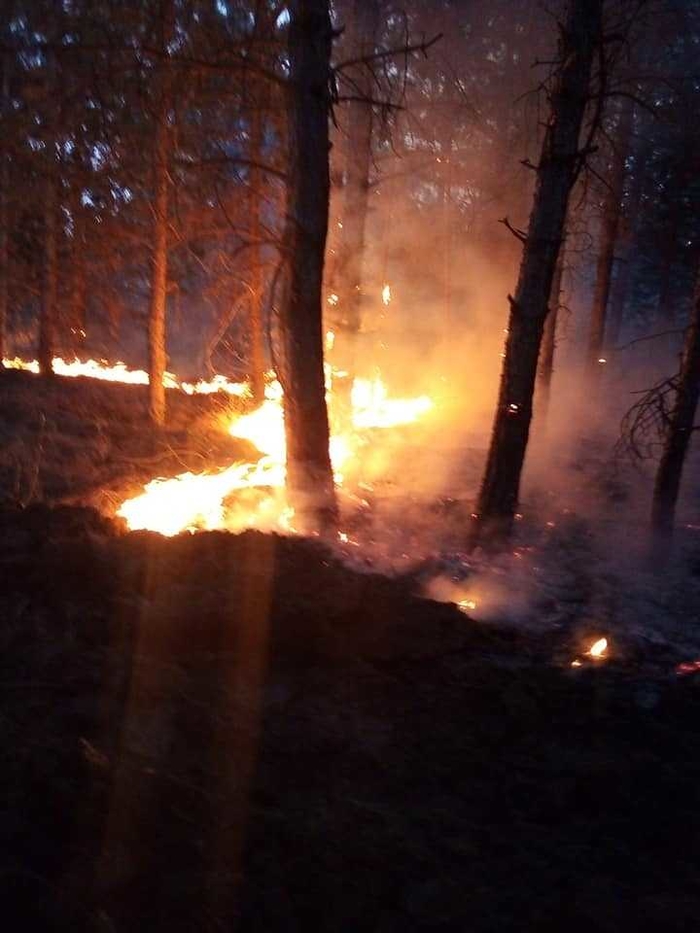 Пожарот на Водно е под контрола- избувнал во сандаци со пчели