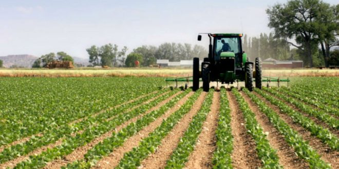 Конечно објавен тендерот за субвенционирана „зелена нафата“ за земјоделците