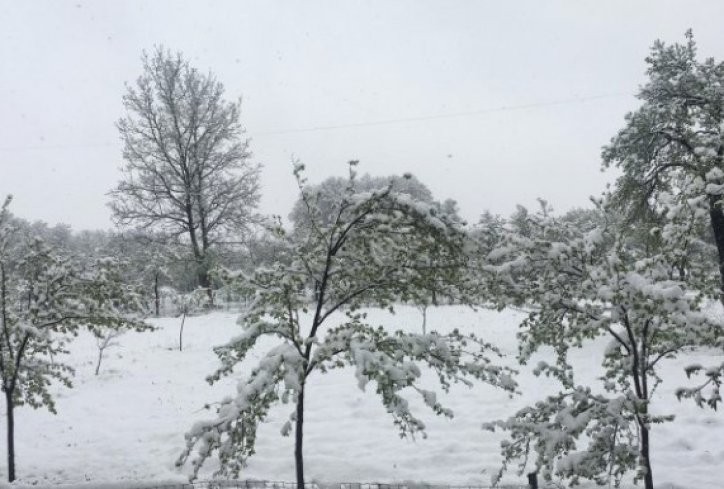 Падна снег падна во повеќе општини во БиХ