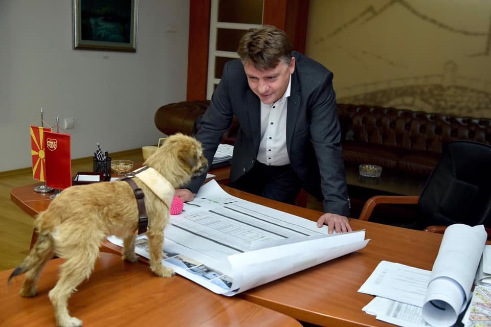 Шилегов во акција за вдомување бездомно куче (ФОТО)
