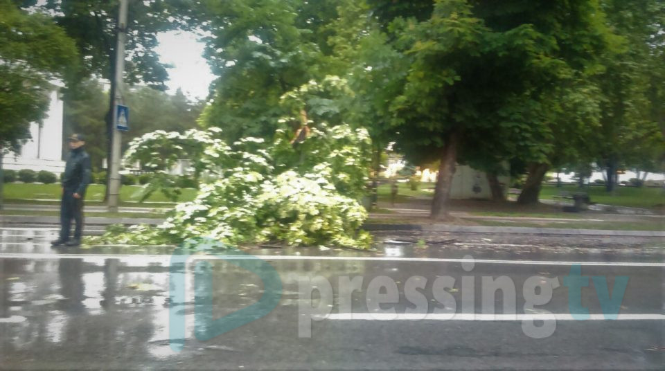 Андреа дојде во Скопје: Урнато дрво во паркот „Жена борец“ (ФОТО)
