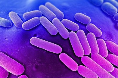 Европа во паника: Се појави супербактерија отпорна на антибиотици (ВИДЕО)