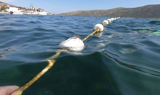 Загадувањето на Јадранско море се гледа и од вселената