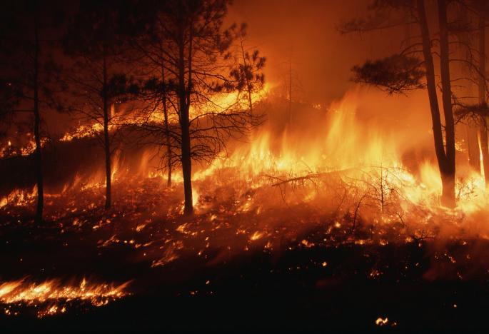 Голем шумски пожар на грчки остров