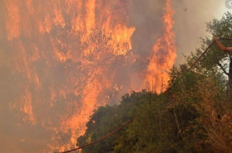 Туристите се безбедни: Голем пожар на Закинтос