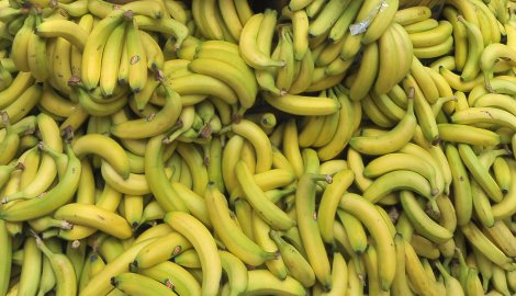 Опасна болест ги нападна бананите, пазарот загрозен