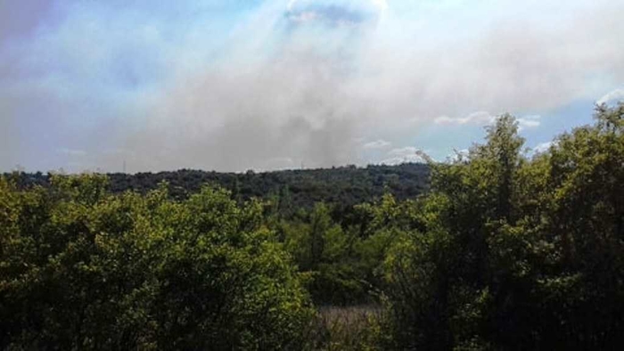 Пожар во близина на ветерниците кај Богданци  и во скопско Варвара