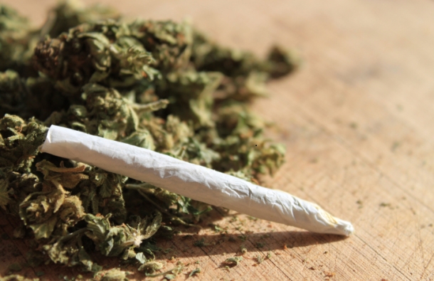 Приведени две лица од Дебар кај кои се пронајдени 20-тина килограми марихуана
