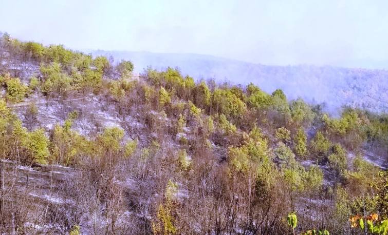 Пожарот кај Радовиш проголта 200 хектари шуми, опасно се шири кон Струмичко