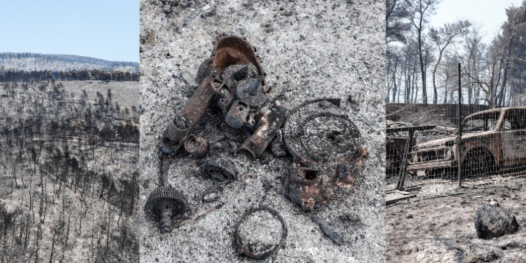 Пронајдени канти со бензин, крпи…дали пожарот во Евија бил подметнат?