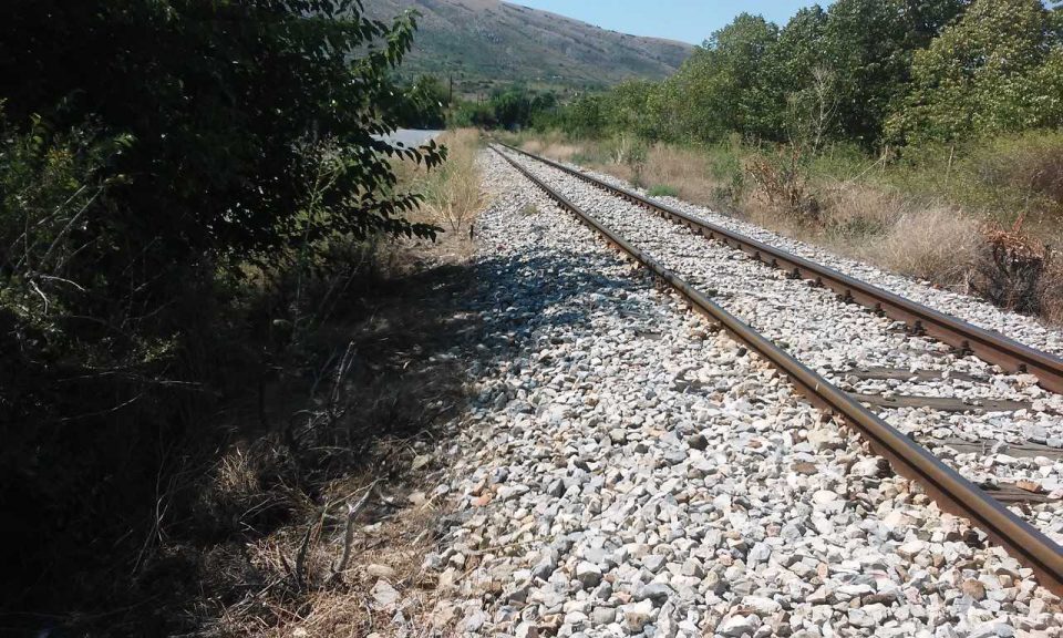 Падната топола го прекина железничкиот сообраќај кај Велес