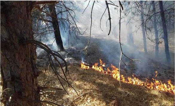 Пожар беснее меѓу три села во општините Карбинци и Пробиштип