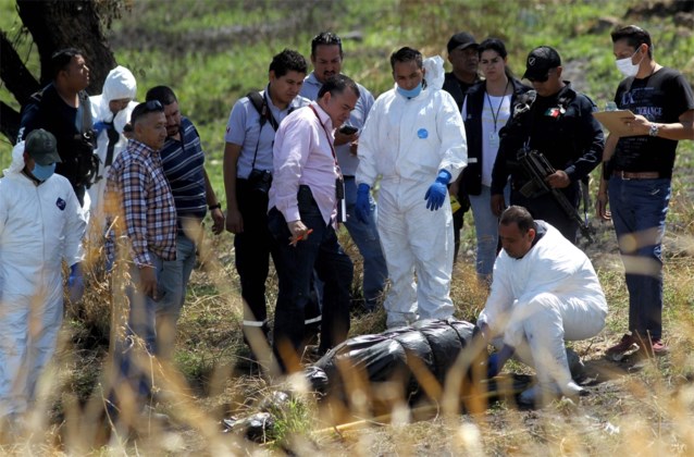 Во Мексико беснее војна меѓу нарко-картелите: Во бунар пронајдени 44 тела