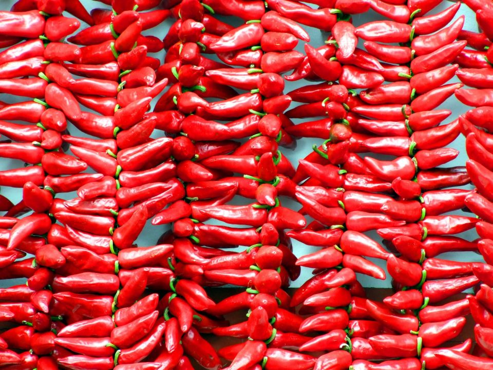Ќе јадеме поскап ајвар: Расте цената на црвената пиперка “ајварка“