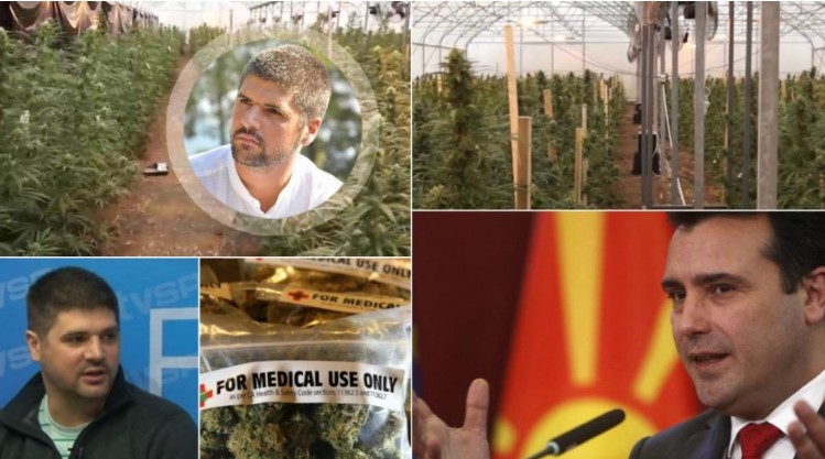 Јанушев: Фирми блиски до власта го контролираат производство на марихуана