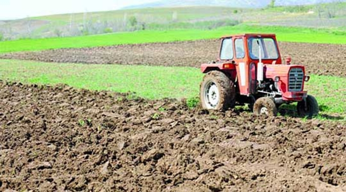 Состојбата во земјоделството е драматична,а производството бележи пад