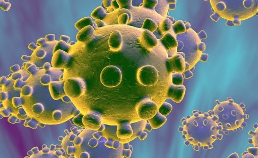 Во Норвешка е откриена нова мутација во коронавирусот САРС-КоВ-2