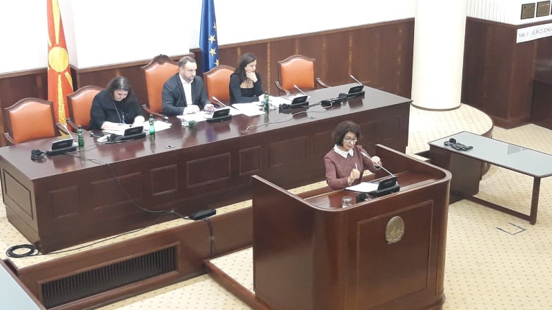 Силјановска: Европското знаменце е важно, но законот требаше да добие позитивно мислење од Венецијанската комисија