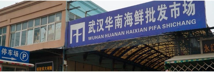 СЗО: Лилјакот од пазарот во Вухан ја однесе короната низ светот