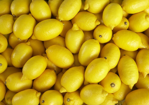 Пауновски: Цената на лимоните треба да изнесува до 110 денари