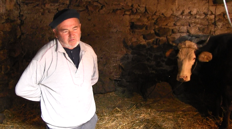 Десетина семејства сè уште го крепат сточарството во делчевското село Град