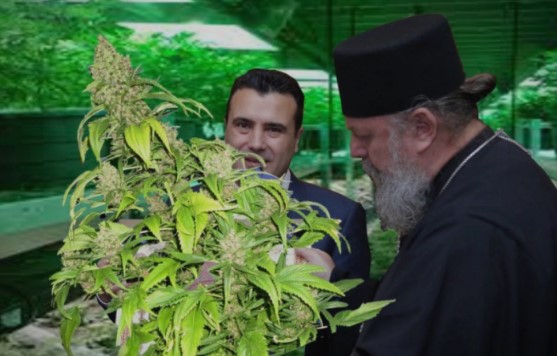 ВМРО-ДПМНЕ: Народот остана без леб, ама за Заев е најважна инвестицијата во плантажите на марихуана!