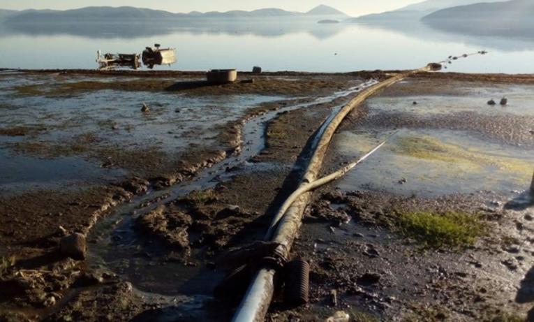 Нуредини: Изработен е итен акциски план за заштита на Преспанското Езеро