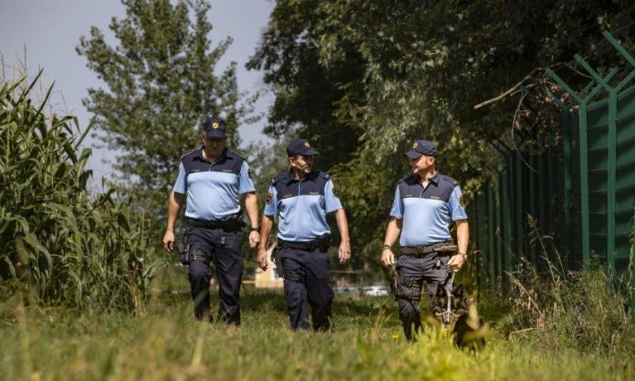 Полицајци од Естонија, Литванија и Полска започнаа со патроли во Словенија