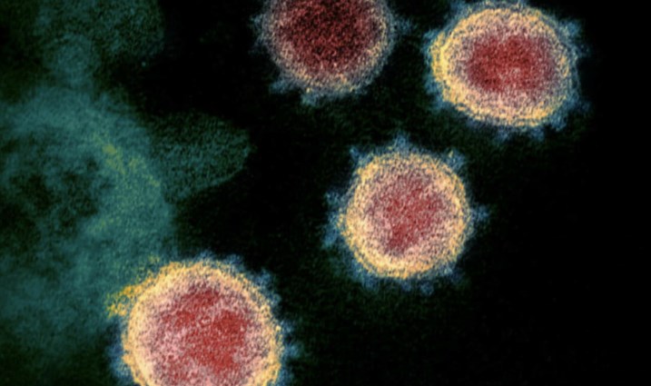 Внимавајте: Oпасна мутација на корона вирусот доаѓа од Јужна Африка