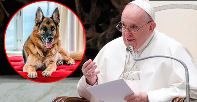 Папата Франциск: Oние што чуваат кучиња и мачки наместо да раѓаат деца се себични
