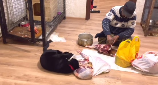 Индиски доктор во Украина живее во подрум со животните што ги вдомил од зоолошка (ВИДЕО)